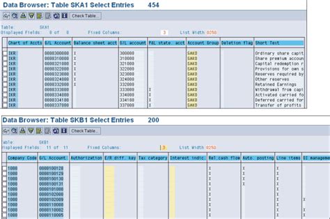 ska1 and skb1 table in sap